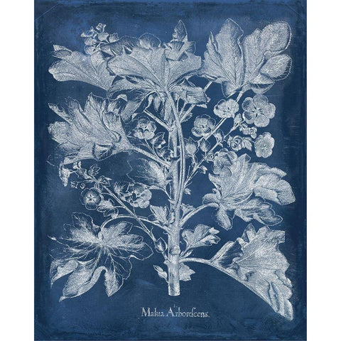 Besler Leaves in Indigo II White Modern Wood Framed Art Print by Vision Studio