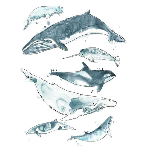 Cetacea I White Modern Wood Framed Art Print by Vess, June Erica