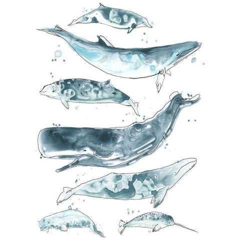 Cetacea II Black Modern Wood Framed Art Print with Double Matting by Vess, June Erica