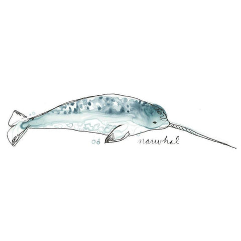 Cetacea Narwhal Black Modern Wood Framed Art Print with Double Matting by Vess, June Erica