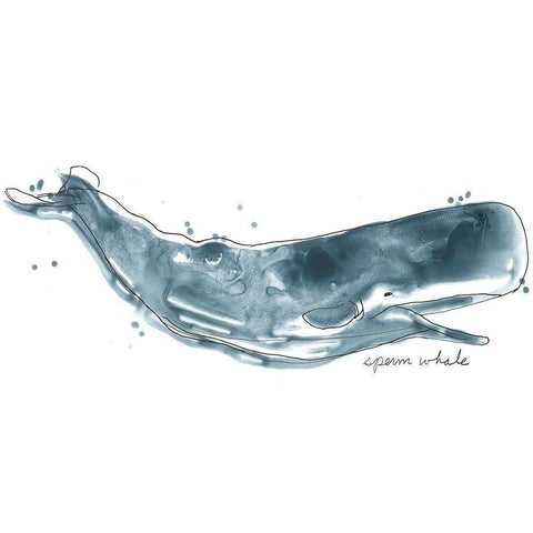 Cetacea Sperm Whale Black Modern Wood Framed Art Print with Double Matting by Vess, June Erica