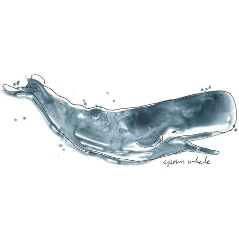 Cetacea Sperm Whale White Modern Wood Framed Art Print by Vess, June Erica