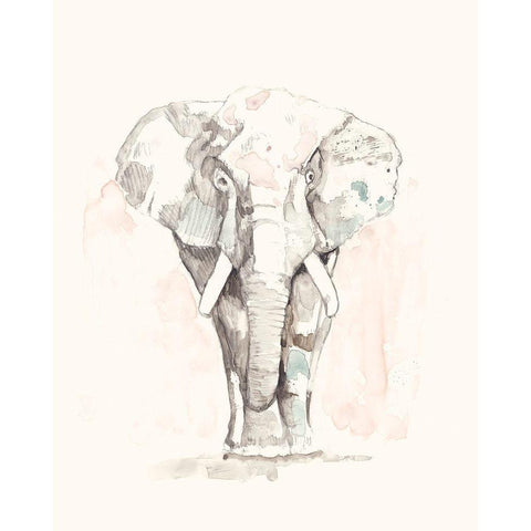 Pastel Safari II Black Modern Wood Framed Art Print with Double Matting by Goldberger, Jennifer