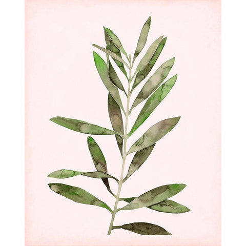 Soft Pink Leaves I White Modern Wood Framed Art Print by Popp, Grace