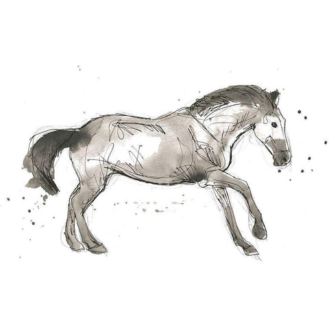Equine Impressions I Black Modern Wood Framed Art Print with Double Matting by Vess, June Erica