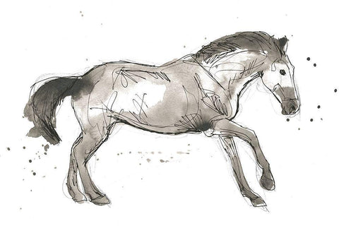 Equine Impressions I Black Ornate Wood Framed Art Print with Double Matting by Vess, June Erica