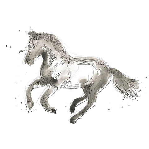 Equine Impressions II Black Modern Wood Framed Art Print with Double Matting by Vess, June Erica
