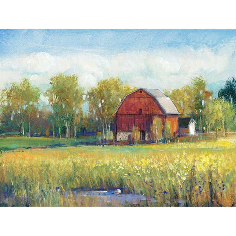 Rural America I White Modern Wood Framed Art Print by OToole, Tim