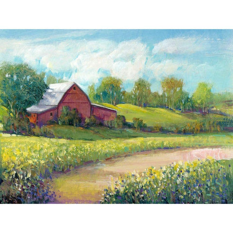 Rural America II White Modern Wood Framed Art Print by OToole, Tim