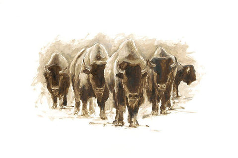 Herd of Bison I Black Ornate Wood Framed Art Print with Double Matting by Harper, Ethan