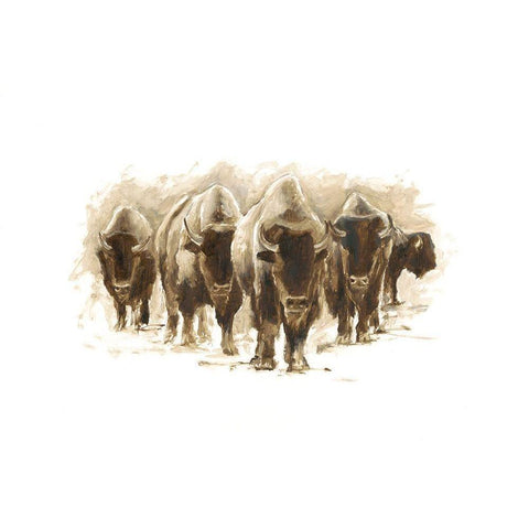 Herd of Bison I White Modern Wood Framed Art Print by Harper, Ethan