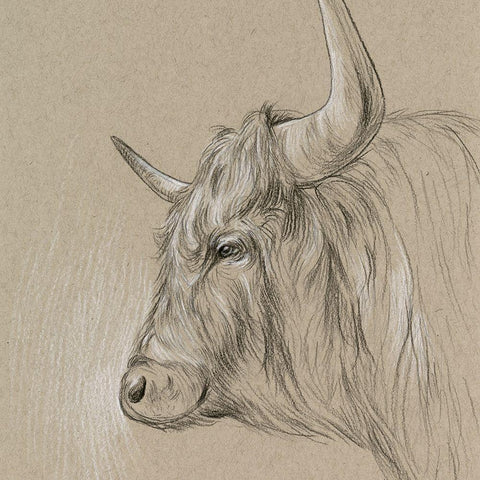 Bison Sketch II White Modern Wood Framed Art Print with Double Matting by Wang, Melissa