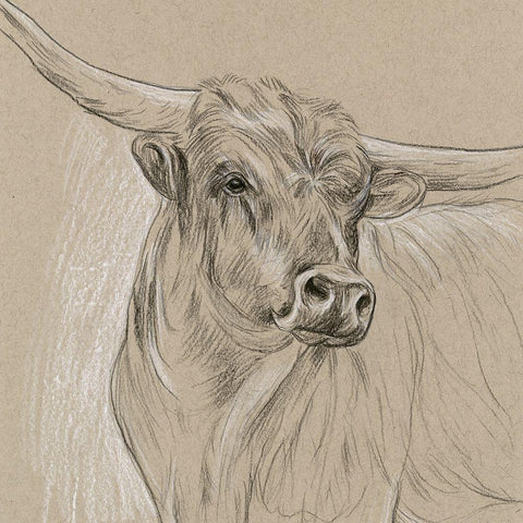 Longhorn Sketch I White Modern Wood Framed Art Print with Double Matting by Wang, Melissa