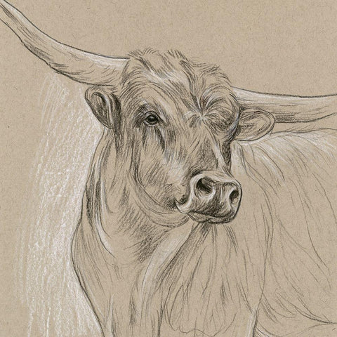 Longhorn Sketch I Black Ornate Wood Framed Art Print with Double Matting by Wang, Melissa