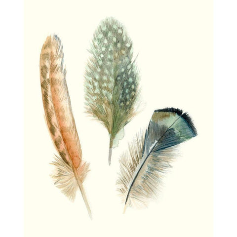Watercolor Feathers I Black Modern Wood Framed Art Print with Double Matting by Meagher, Megan