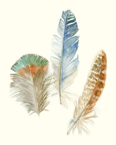 Watercolor Feathers III Black Ornate Wood Framed Art Print with Double Matting by Meagher, Megan