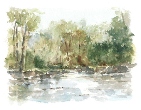 Wooded Stream II Black Ornate Wood Framed Art Print with Double Matting by Harper, Ethan