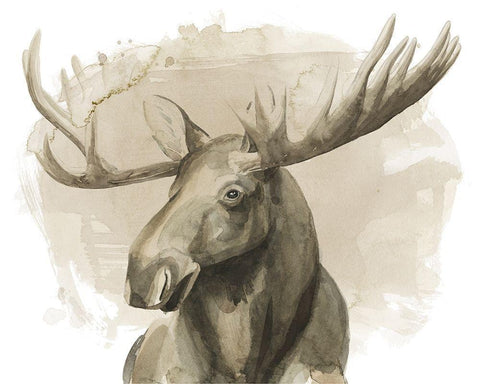 Bull Moose II White Modern Wood Framed Art Print with Double Matting by Popp, Grace