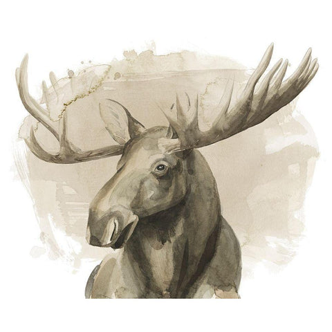 Bull Moose II Gold Ornate Wood Framed Art Print with Double Matting by Popp, Grace