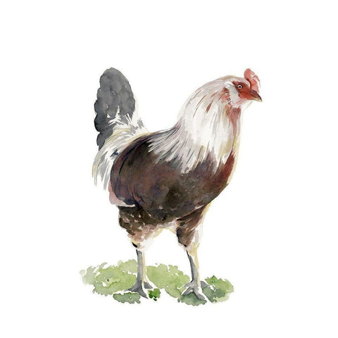 Chicken Dance I Black Modern Wood Framed Art Print with Double Matting by Parker, Jennifer Paxton