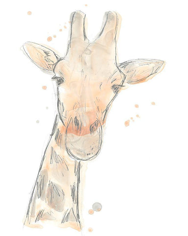 Blush Savannah II White Modern Wood Framed Art Print with Double Matting by Vess, June Erica