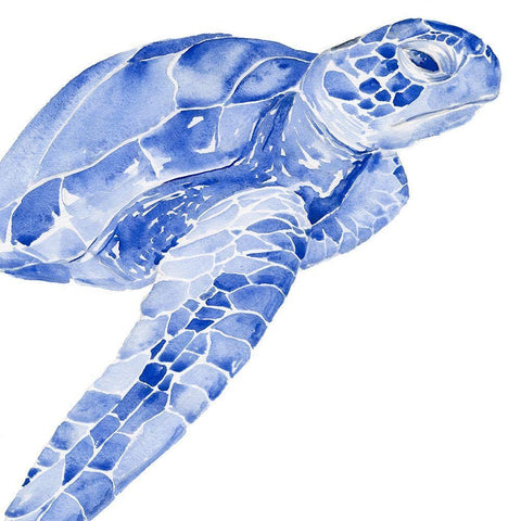 Ultramarine Sea Turtle II White Modern Wood Framed Art Print with Double Matting by Parker, Jennifer Paxton