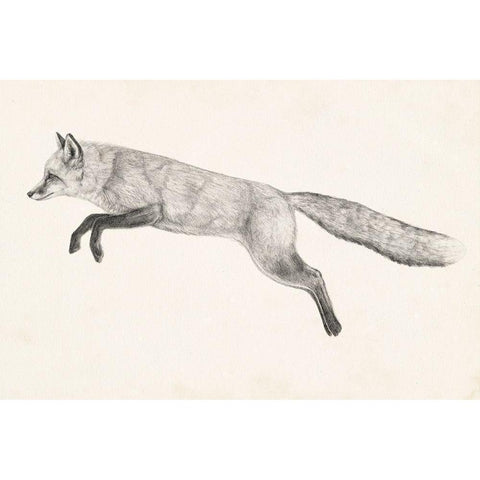 Flying Fox II White Modern Wood Framed Art Print by Borges, Victoria