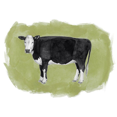 Hereford Graze II White Modern Wood Framed Art Print by Popp, Grace