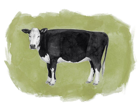 Hereford Graze II White Modern Wood Framed Art Print with Double Matting by Popp, Grace