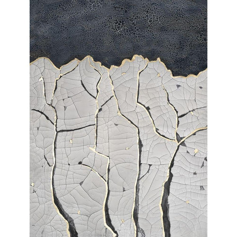 Crackled Arbor I Black Modern Wood Framed Art Print with Double Matting by Lam, Vanna