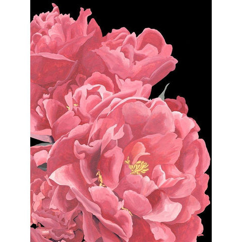 Peonies of My Heart I Black Modern Wood Framed Art Print with Double Matting by Wang, Melissa