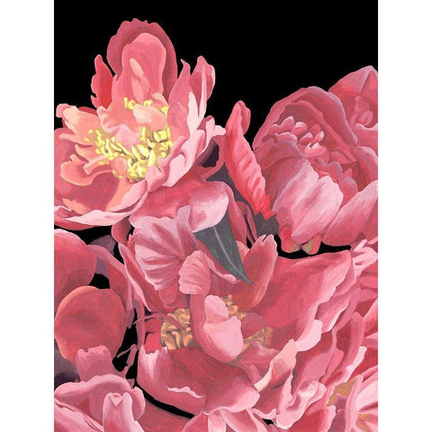 Peonies of My Heart II Black Modern Wood Framed Art Print with Double Matting by Wang, Melissa