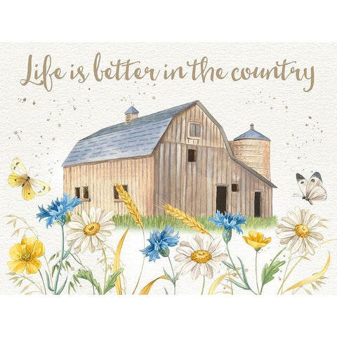 Nostalgic Farm I Black Modern Wood Framed Art Print with Double Matting by Maday, Jane