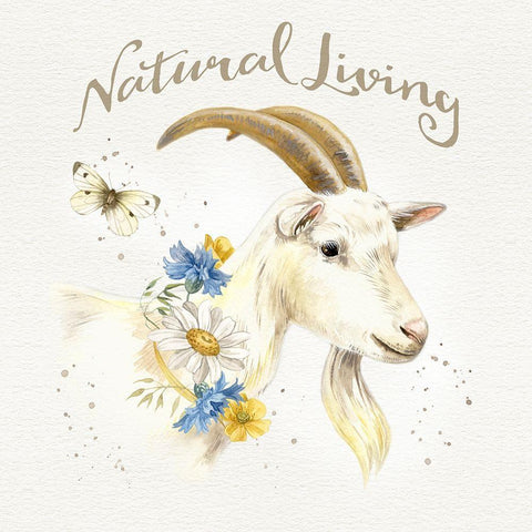 Nostalgic Farm IV Black Ornate Wood Framed Art Print with Double Matting by Maday, Jane