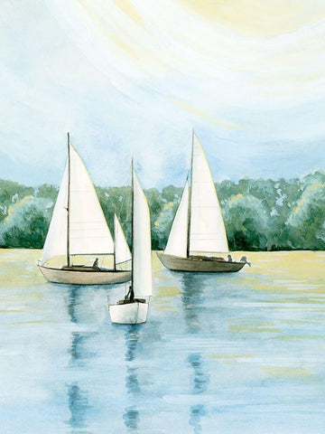 Afternoon Sail II Black Ornate Wood Framed Art Print with Double Matting by Popp, Grace