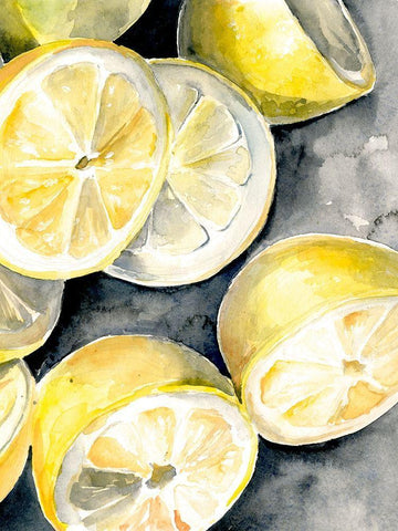 Lemon Slices I Black Ornate Wood Framed Art Print with Double Matting by Parker, Jennifer Paxton