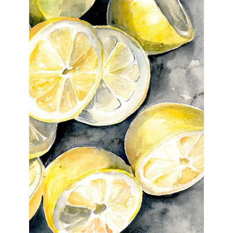 Lemon Slices I Black Modern Wood Framed Art Print with Double Matting by Parker, Jennifer Paxton