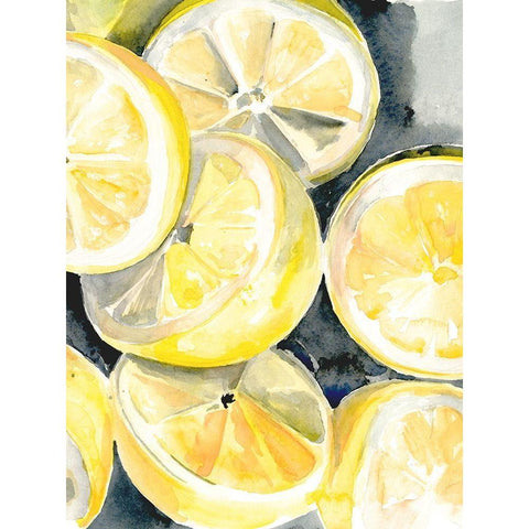 Lemon Slices II Black Modern Wood Framed Art Print with Double Matting by Parker, Jennifer Paxton