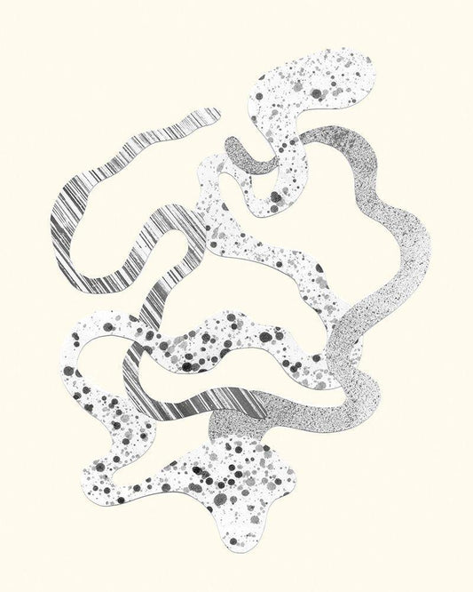 Image Only