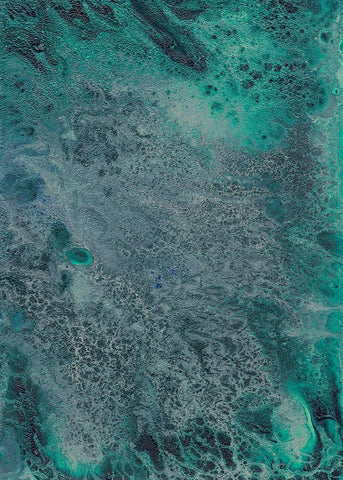 Innate Sense II White Modern Wood Framed Art Print with Double Matting by Moore, Regina