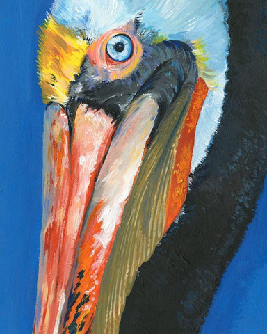 Vibrant Pelican I Black Ornate Wood Framed Art Print with Double Matting by Parker, Jennifer Paxton