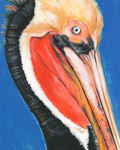 Vibrant Pelican II Black Ornate Wood Framed Art Print with Double Matting by Parker, Jennifer Paxton