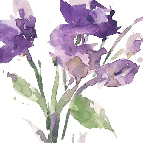 Garden Blooms I Black Modern Wood Framed Art Print with Double Matting by Dixon, Samuel