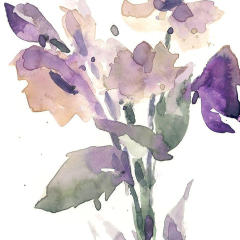 Garden Blooms II White Modern Wood Framed Art Print by Dixon, Samuel