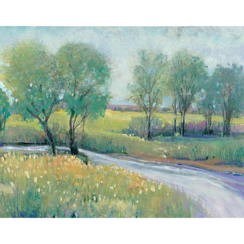 Summer Stream I White Modern Wood Framed Art Print by OToole, Tim