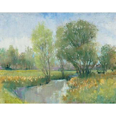 Summer Stream II White Modern Wood Framed Art Print by OToole, Tim