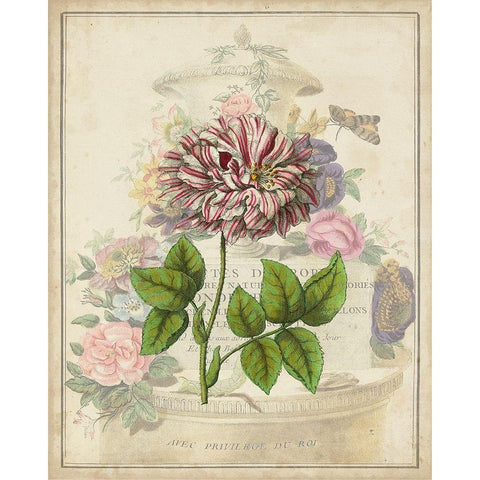 Vintage Rose Bookplate Gold Ornate Wood Framed Art Print with Double Matting by Vision Studio