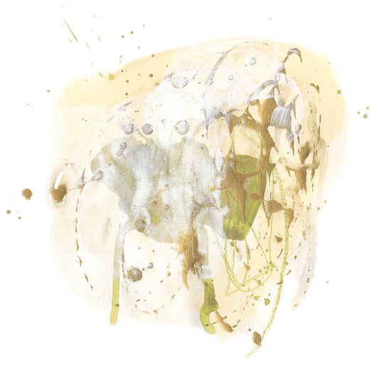 Image Only