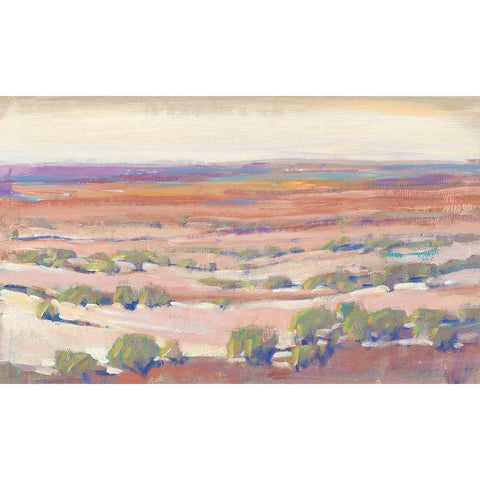 High Desert Pastels I White Modern Wood Framed Art Print by OToole, Tim