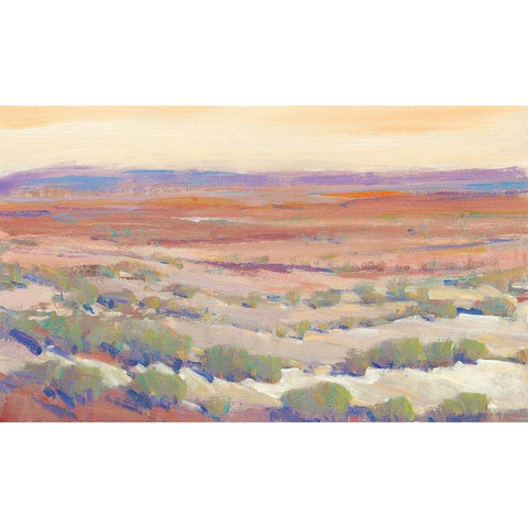 High Desert Pastels II Gold Ornate Wood Framed Art Print with Double Matting by OToole, Tim